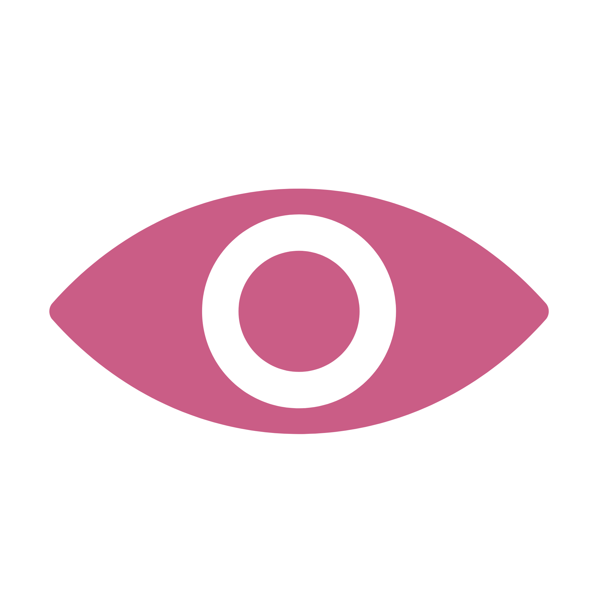 Toggle Password